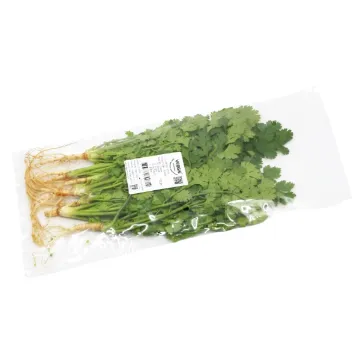 VEGGIE Rau Mui ta 100g - Koriandr setý