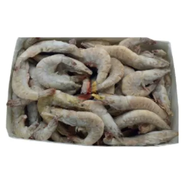 Tom NC Wonder Brand30/40- White Shrimp 1,6kg art8286