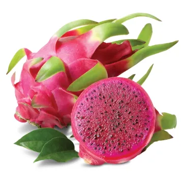 Pitaya Mova VN 4kg (od 700g) Red - Drací ovoce